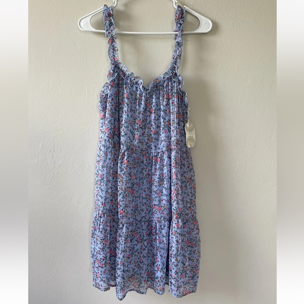 Altar’d State Dress Size Large Floral Ruffle Blue Pink Lined Layered Dress New